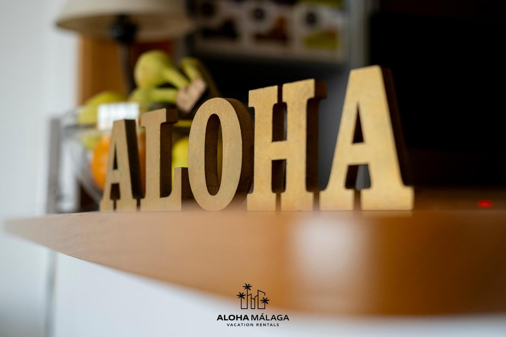 Luxury Duplex With Pool And Padel Court In Town Διαμέρισμα Μάλαγα Εξωτερικό φωτογραφία